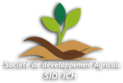 Logo Client